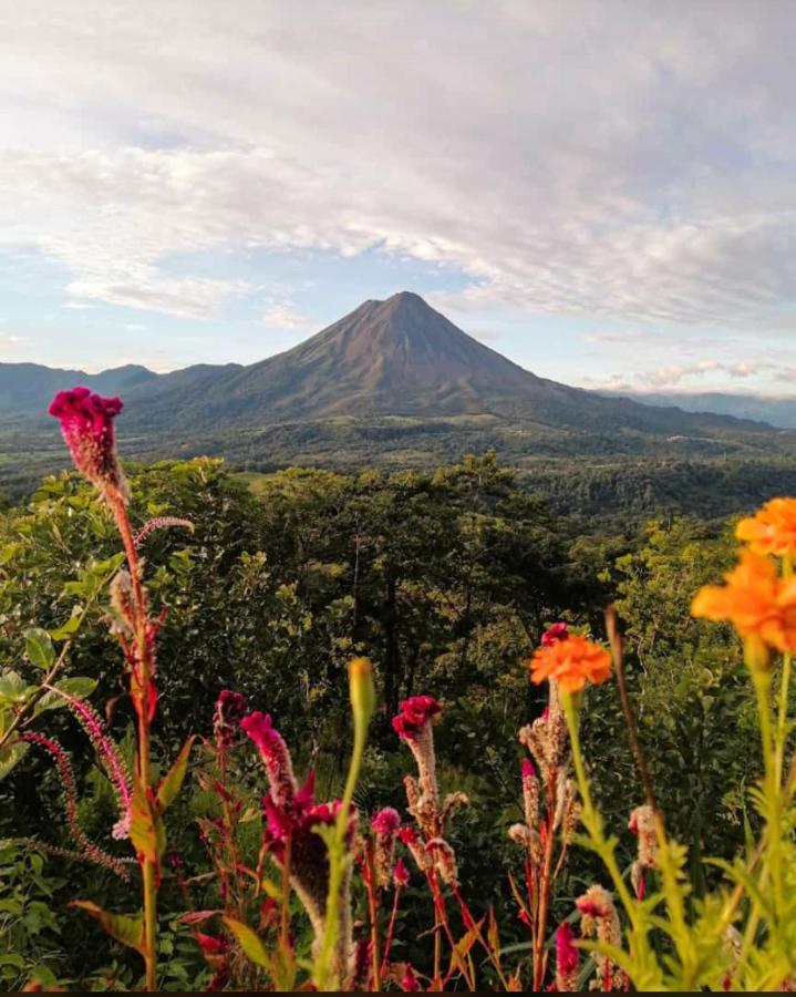 Las Pavitas Cottages La Fortuna Exterior photo